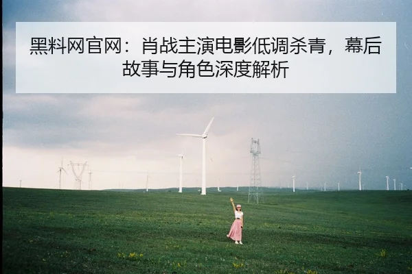 黑料网官网：肖战主演电影低调杀青，幕后故事与角色深度解析